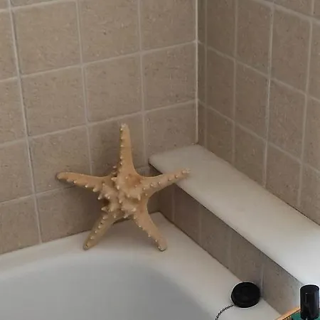 Apartmán το σπίτι της τζένης *